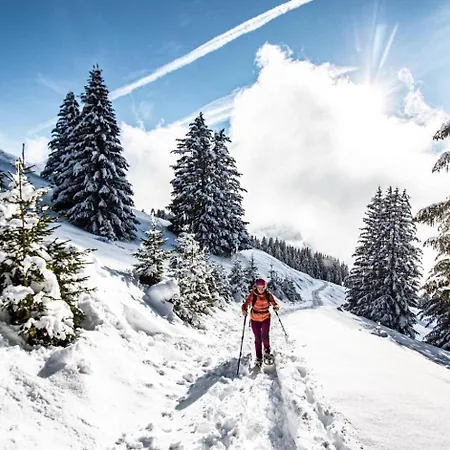 Biches Bia17 Mountain & Quiet 4 Pers Châtel