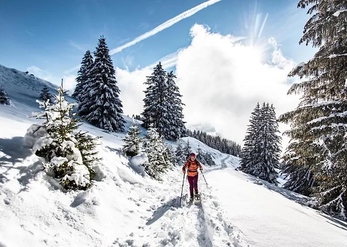 Biches Bia17 Mountain & Quiet 4 Pers Châtel